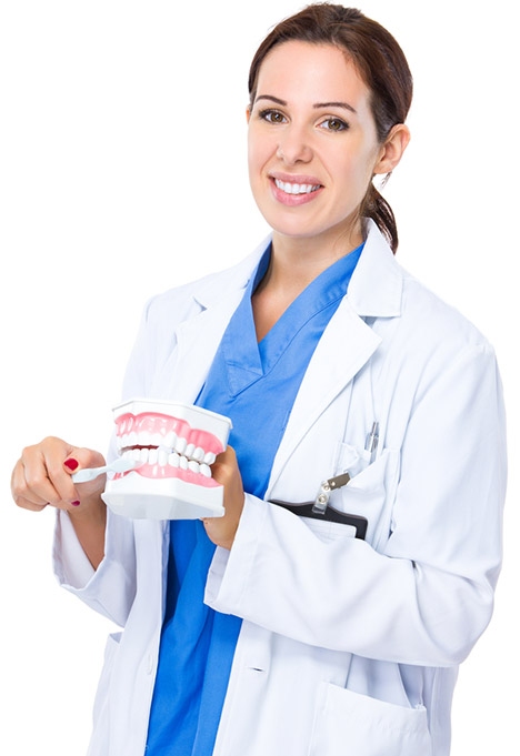 Dentalzorg Antwerpen Tandverzorging Brasschaat Belgie